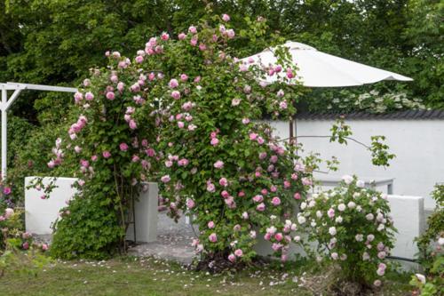 Vallby Cottage Enköping Екстериор снимка